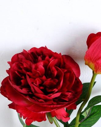 Artificial Flower 15*58CM Peony Spray*2 GS-26220036-R2