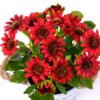 Artificial Flower 16*16*24CM Daisy in tin pot GS-05520076R-R1