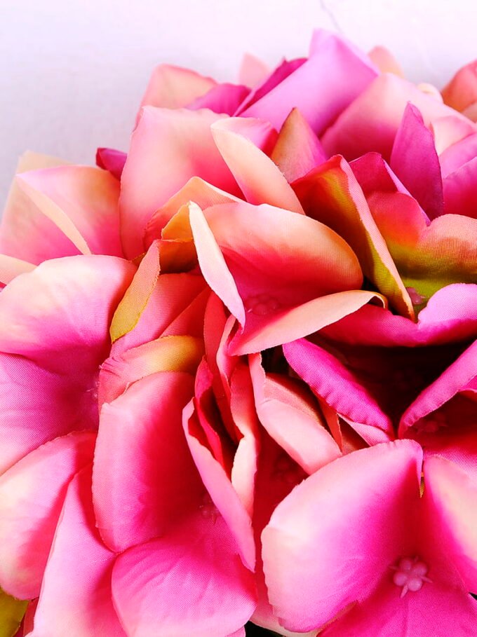 Artificial Flower 18 56CM Single hydrangea GS-60020002-R1_6 Artificial Flower 18*56CM Single hydrangea GS-60020002-R1