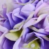 Artificial Flower 18 56CM Single hydrangea GS-60020002-Z1_6 Artificial Flower 18*56CM Single hydrangea GS-60020002-Z1