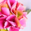 Artificial Flower 20*34CM Single hydrangea GS-60020001-R1