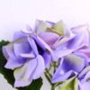 Artificial Flower 20 34CM Single hydrangea GS-60020001-Z1_6 Artificial Flower 20*34CM Single hydrangea GS-60020001-Z1
