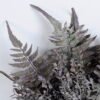 Artificial Flower 20*40CM Ferns Bouquet*7 GS-26220026-K2