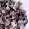Artificial Flower 20*55CM Single hydrangea GS-60020006-H1