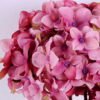 Artificial Flower 20 55CM Single hydrangea GS-60020006-Z1_6 Artificial Flower 20*55CM Single hydrangea GS-60020006-Z1
