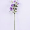 Artificial Flower 20*80CM Balloon Flower*6 GS-10620003CONTI-Z1