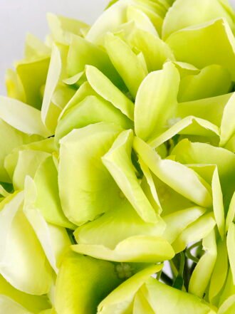 Artificial Flower 22*34CM Hydrangea bouquet GS-60020003-G1