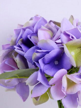 Artificial Flower 22*34CM Hydrangea bouquet GS-60020003-Z1
