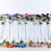 Artificial Flower 23 70CM Mum spray 12 GS-26220060-B1_4 Artificial Flower 23*70CM Mum spray*12 GS-26220060-B1