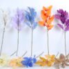 Artificial Flower 23*75CM Leaves Spray GS-26220063-B1