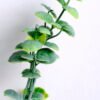 Artificial Flower 24*48CM Grass bush*7 GS-05520082