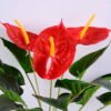 Artificial Flower 32*36*31CM Anthurium Leaves In Plastic Pot GS-06020003-R1