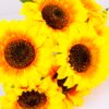 Artificial Flower 34*41cm Sunflower bush*7 GS-60720005