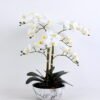 Artificial Flower 50*42*60CM Orchid in cement pot GS-15420026