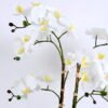 Artificial Flower 50*42*60CM Orchid in cement pot GS-15420026
