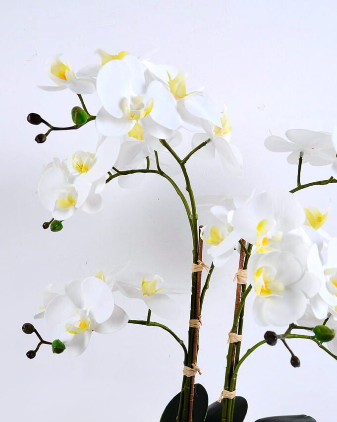 Artificial Flower 50*42*60CM Orchid in cement pot GS-15420026