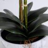 Artificial Flower 50*42*60CM Orchid in cement pot GS-15420026