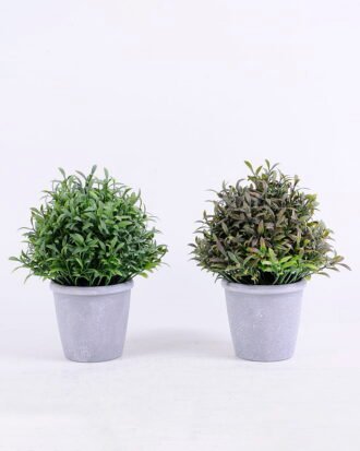 Artificial Plant 15*15*20CM Grass in plastic pot GS-60220006