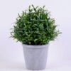 Artificial Plant 15*15*20CM Grass in plastic pot GS-60220006