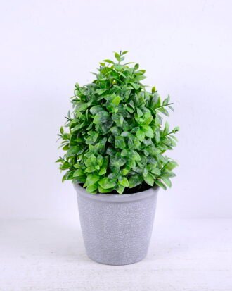 Artificial Plant 15*15*25CM Grass In Plastic Pot GS-60220005-G2