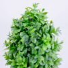 Artificial Plant 15*15*25CM Grass In Plastic Pot GS-60220005-G2