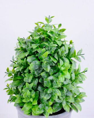 Artificial Plant 15*15*25CM Grass In Plastic Pot GS-60220005-G2