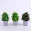 Artificial Plant 15*15*25CM Grass In Plastic Pot GS-60220005