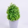 Artificial Plant 15*15*25CM Grass In Plastic Pot GS-60220005