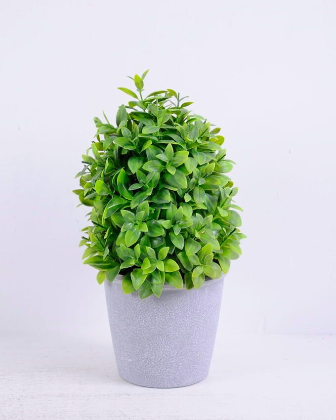 Artificial Plant 15*15*25CM Grass In Plastic Pot GS-60220005