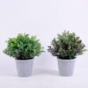 Artificial Plant 18*18*20CM Eucalyptus in plastic pot GS-60220008