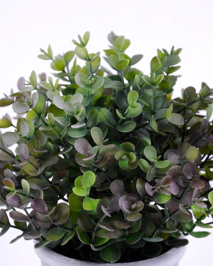 Artificial Plant 18*18*20CM Eucalyptus in plastic pot GS-60220008