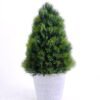 Artificial Plant 18*18*37CM Pinetree In Plastic Pot GS-60220003