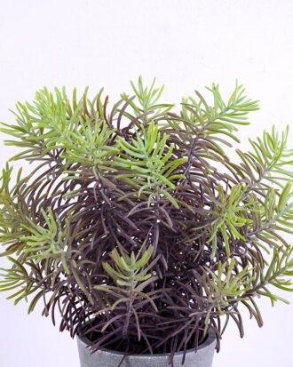 Artificial Plant 20*20*25CM Grass in plastic pot GS-60220007