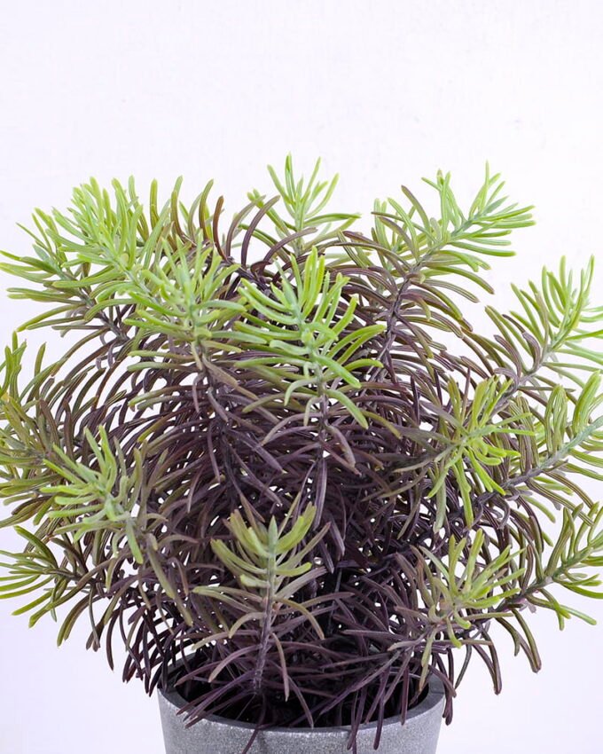 Artificial Plant 20*20*25CM Grass in plastic pot GS-60220007