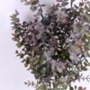 Artificial Plant 20*60CM Eucalyptus bush*6 GS-60120025-Z1