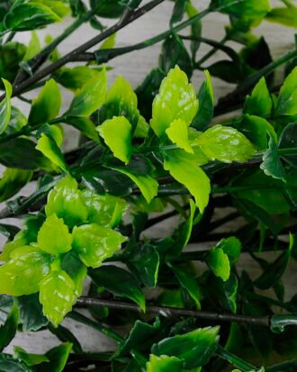 Artificial Plant 28*28*47CM grass bush*7 GS-54420007