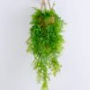 Artificial Plant 31*31*80cm Plant in paper pot with hanging rope GS-03320134