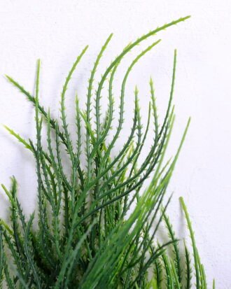 Artificial Plant 32*30*53CM grass bush*7 GS-54420009