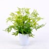 Artificial Plant 32 32 34cm Plastic Fern in Ceramic pot GS-03320123 Artificial Plant 32*32*34cm Plastic Fern in Ceramic pot GS-03320123