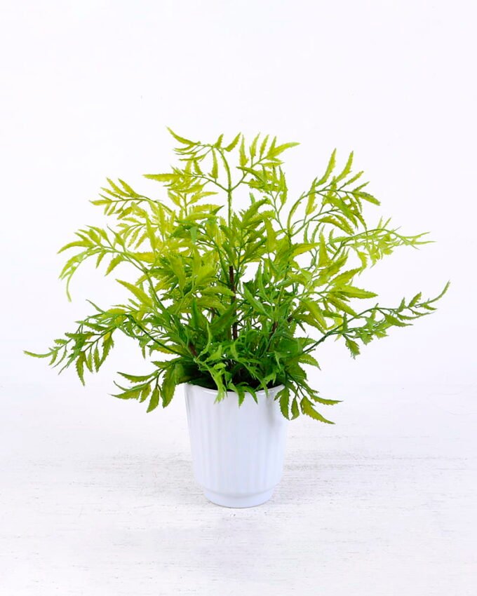 Artificial Plant 32 32 34cm Plastic Fern in Ceramic pot GS-03320123 Artificial Plant 32*32*34cm Plastic Fern in Ceramic pot GS-03320123