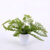 Artificial Plant 39*39*26cm Plastic Fern in Ceramic pot GS-03320124
