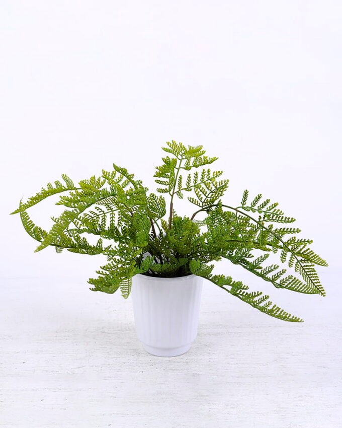 Artificial Plant 39*39*26cm Plastic Fern in Ceramic pot GS-03320124