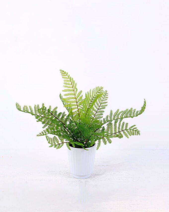 Artificial Plant 39 39 33cm Plastic Fern in Ceramic pot GS-03320126_6 Artificial Plant 39*39*33cm Plastic Fern in Ceramic pot GS-03320126