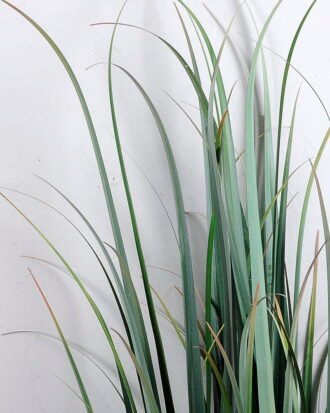 Artificial Plant 59*59*98CM Grass in plastic pot GS-59920001 Grass&PLANT YeahFlower is one of Chinese leading OEM manufacturers and exporters , supplying the silk flowers, wholesale artificial trees Artificial Plant 59*59*98CM Grass in plastic pot GS-59920001