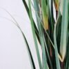 Artificial Plant 66*66*122CM Grass in plastic pot GS-59920002