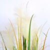 Artificial Plant 68*68*98CM Reeds in plastic pot GS-59920004