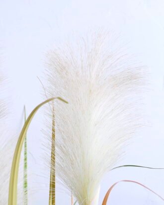 Artificial Plant 80*80*125CM Reeds in plastic pot GS-59920005 Grass&PLANT YeahFlower is one of Chinese leading OEM manufacturers and exporters , supplying the silk flowers, wholesale artificial trees Artificial Plant 80*80*125CM Reeds in plastic pot GS-59920005