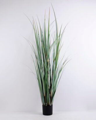 Artificial Plant 80*80*150CM Grass in plastic pot GS-59920003