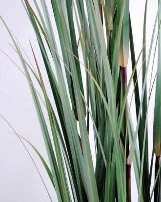 Artificial Plant 80*80*150CM Grass in plastic pot GS-59920003 Grass&PLANT YeahFlower is one of Chinese leading OEM manufacturers and exporters , supplying the silk flowers, wholesale artificial trees Artificial Plant 80*80*150CM Grass in plastic pot GS-59920003