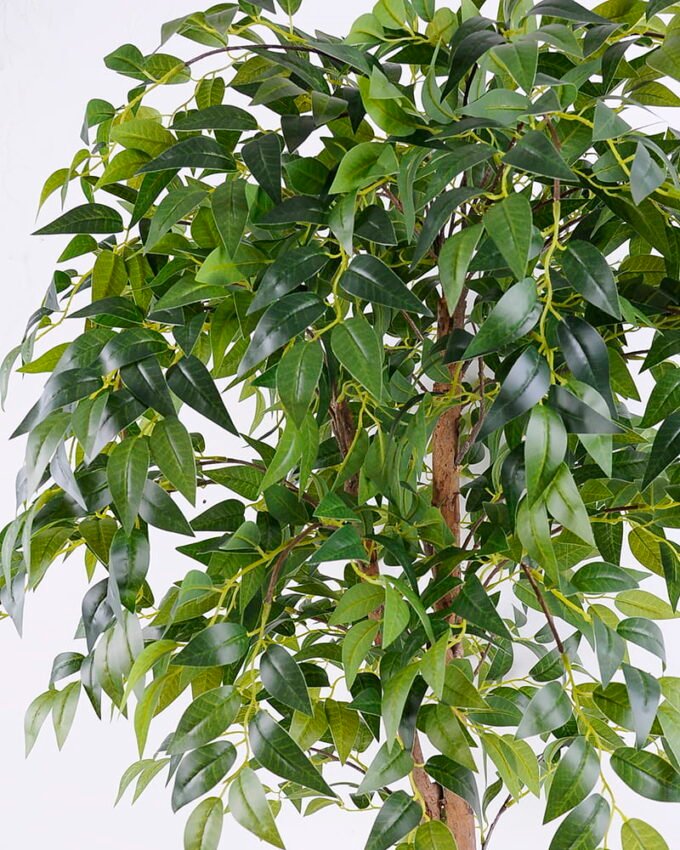 Artificial Tree 70 67 123cm Ficus in the plastic pot lvs1274 GS-30420030_6 Artificial Tree 70*67*123cm Ficus in the plastic pot/lvs1274 GS-30420030